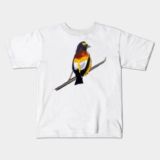 Evening Grosbeak Kids T-Shirt